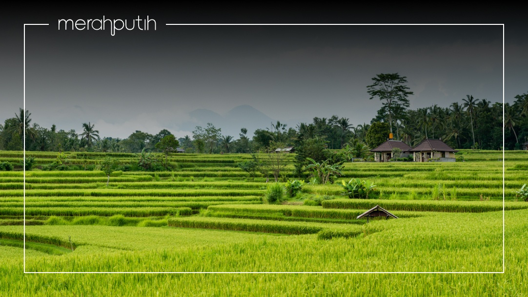 bali core agriculture belief